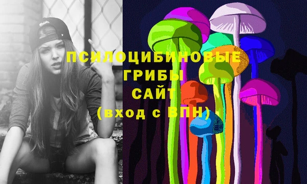 мдма Богородицк