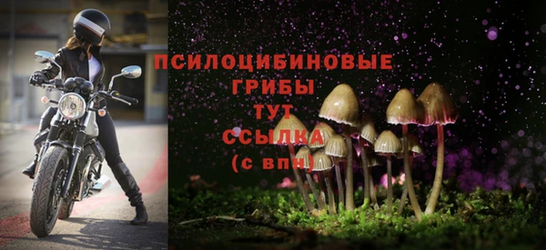мдма Богородицк