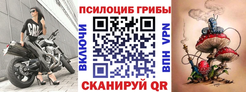 Псилоцибиновые грибы ЛСД  Дубовка 