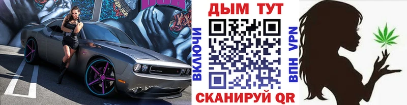 Шишки марихуана план  Дубовка 